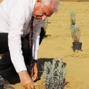 Ödemiş Belediyesi’nden “Tıbbi-Aromatik Bitki Bahçesi” hamlesi