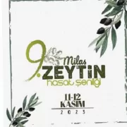 9 Milas zeytin hasat şenliği heyecanı başlıyor