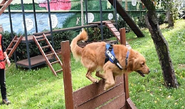 Bak-kadıköy yeni üyesi coco