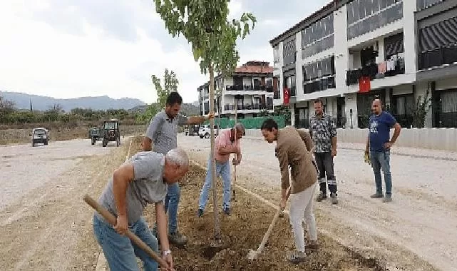 Başkan Ceritoğlu sengel saha çalışmalarını yerinde inceledi