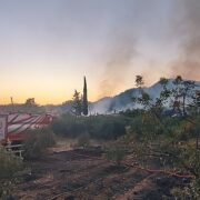 Antalya Büyükşehir ekiplerinden orman yangınına müdahale