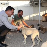 Nevşehir Belediye Başkanı Rasim Arı, Nevşehir’e yeni bir Hayvan Kasabası kazandırmak için çalışmalara başladıklarını açıkladı